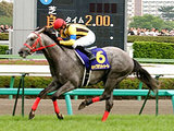 キャプテントゥーレ2008