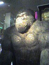 kingkong
