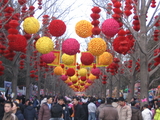 廟会4