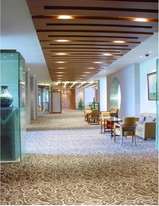72f31787.jpg
