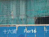 ponte16