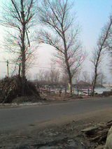 農村の景色