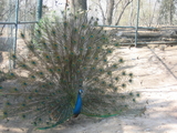 b7610710.JPG
