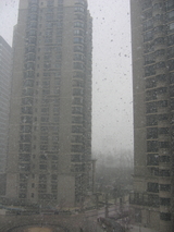 e74431d7.JPG