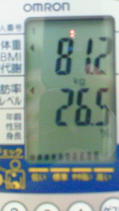 �������å�2007/11/08