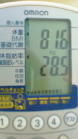 �������å�2007/11/06