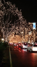夜景