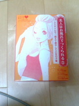 20081229012653おかいもの