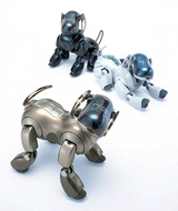 aibo�Σţ�