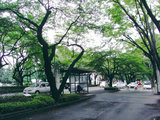 RIMG0118[1]