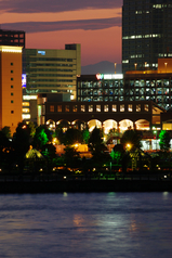 IMGP0242