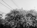 RIMG0149