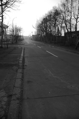 IMGP0220