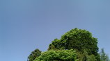 490f4f32.jpg