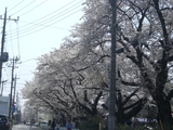 940116fc.JPG