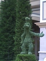 0cb68274.jpg