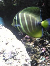 e2855f11.jpg