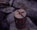 e8e77785.jpg