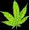 Ganja
