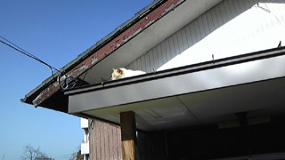 20100108