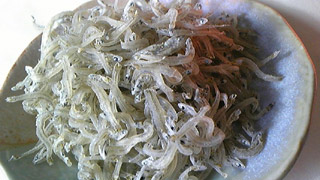 2010012501