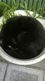 20091016
