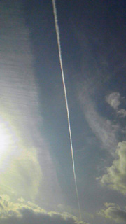 2010020211