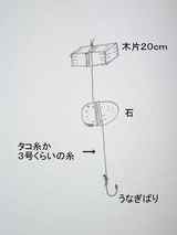 1f558f5b.jpg