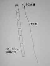 309a758b.jpg