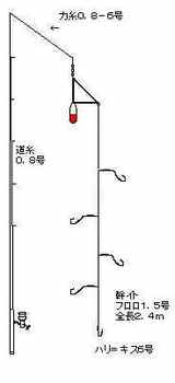 e52b8cfd.JPG