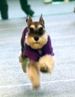 aa79566c.jpg