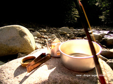 trangia