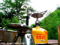 www.dogs-age.com caffe!