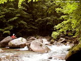 stream