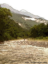 fly angler