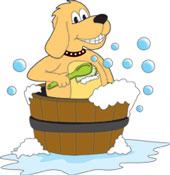 shampoo !!!
