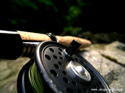 rod and reel