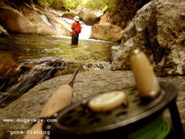 gone fishing