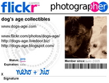 flickr badge