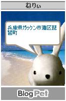 �ͤꤣ