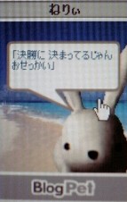 �ͤꤣ��