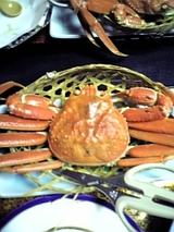 f8ef0413.jpg