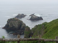 デジカメ撮影_20090818_105636