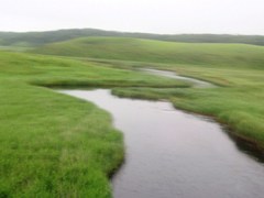 0817_095716