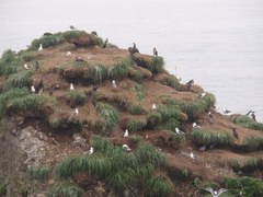デジカメ撮影_20090818_110447