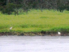 �ǥ����ợ��_20090817_122243