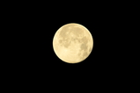 ��006