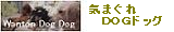 �ǣҥ�����󡡣ɣӥ롼�������ȥ�������ǭ�Υ������� by �롼�С��롼��