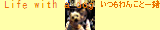 �衼����ζ������Blog�� by ζ�����ޥ�