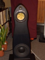 ThePureSystem1